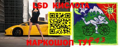spice Кунгур