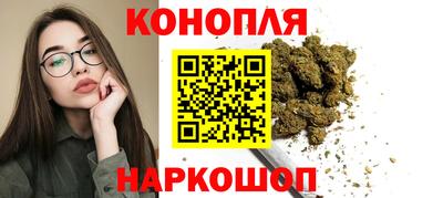 spice Кунгур